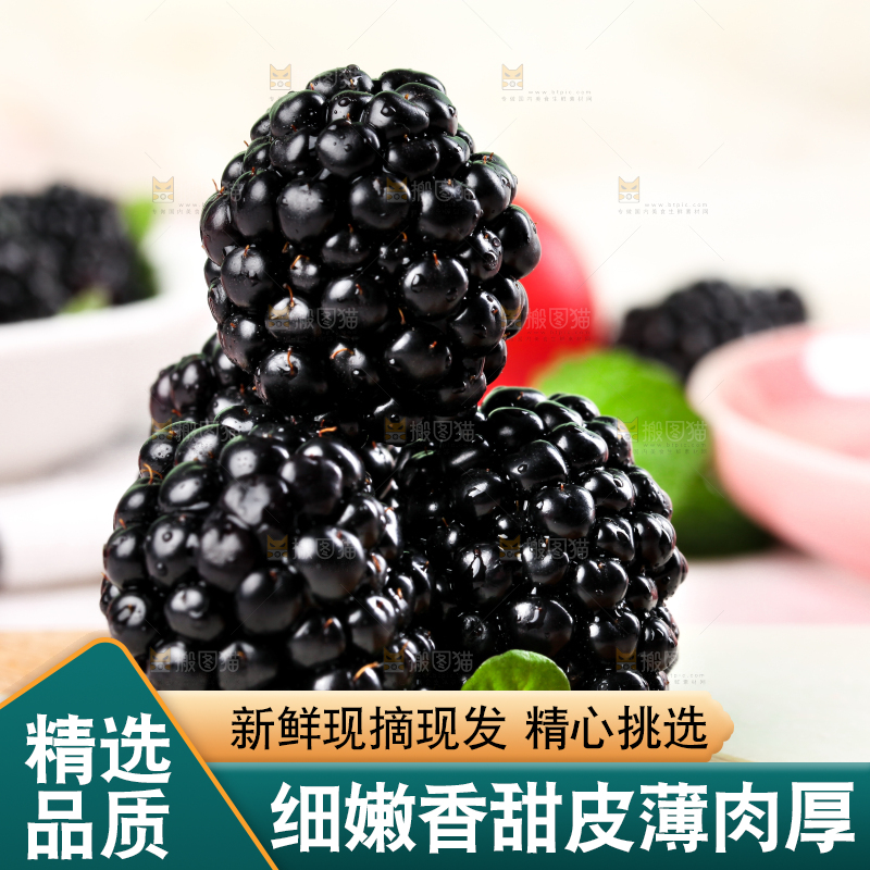 石板上的黑莓鲜果