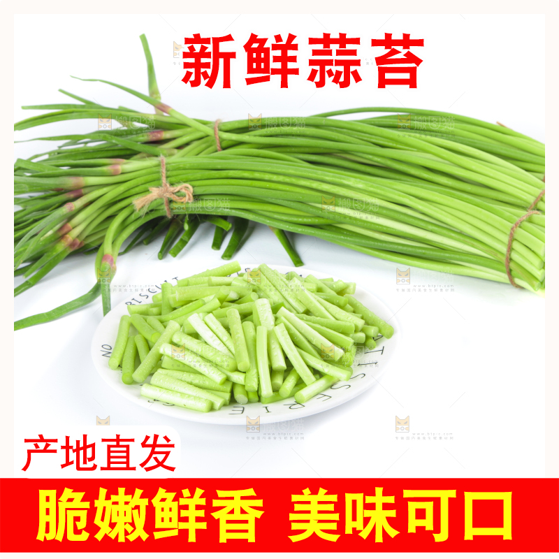 一盘新鲜蒜苔段放在白底上