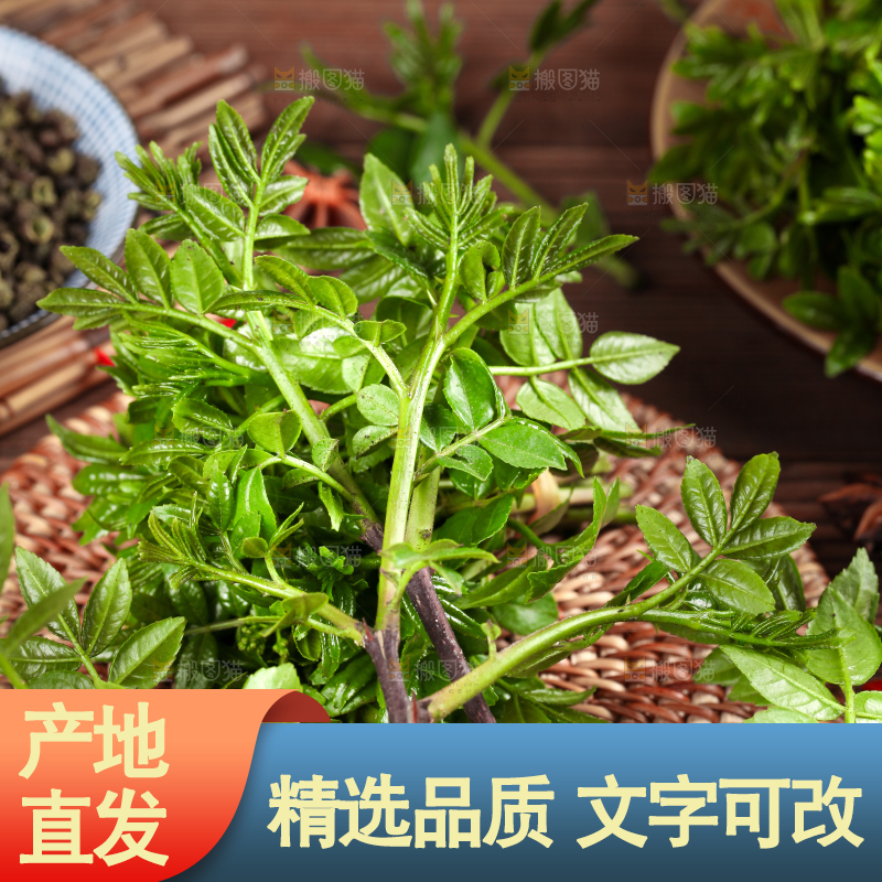 木底上的麻香花椒芽