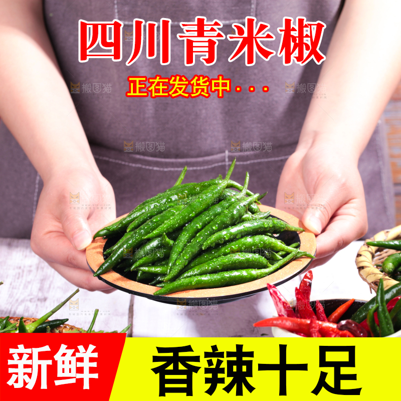 手端一盘青辣椒