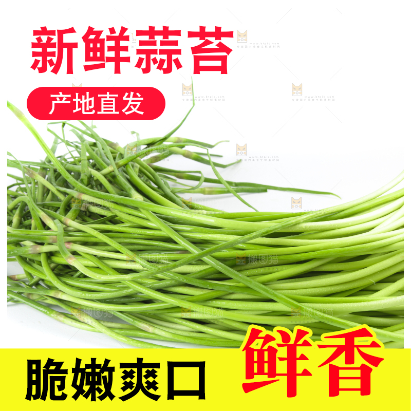 白底上的新鲜蒜苔