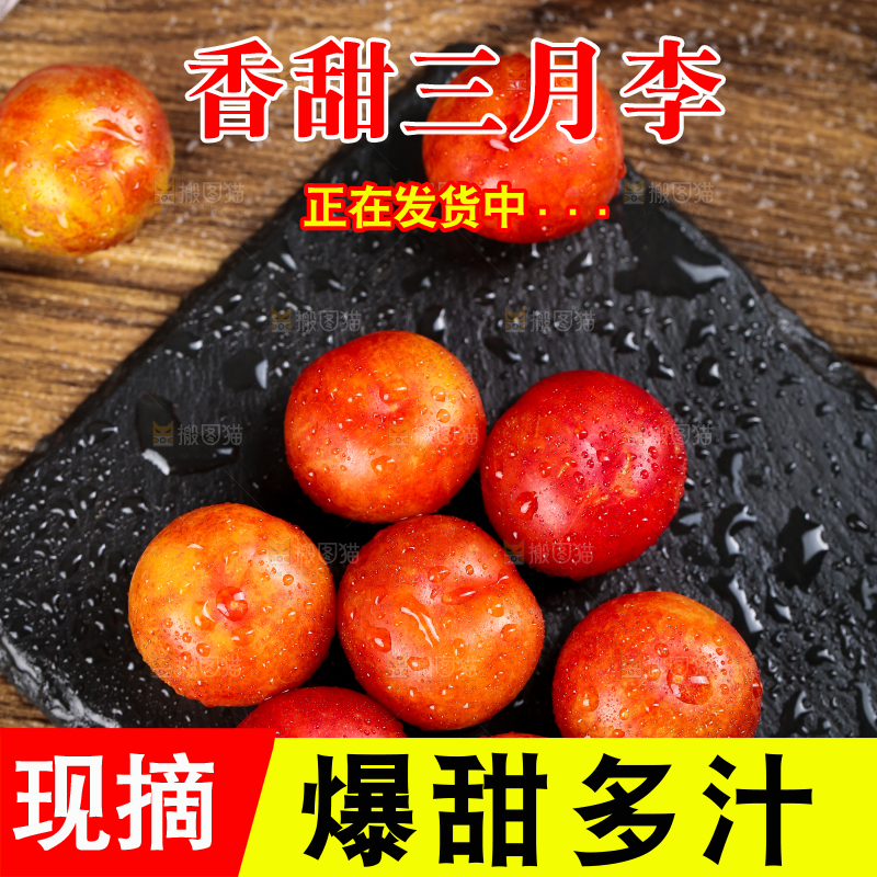 黑石板上放着钱排三月李
