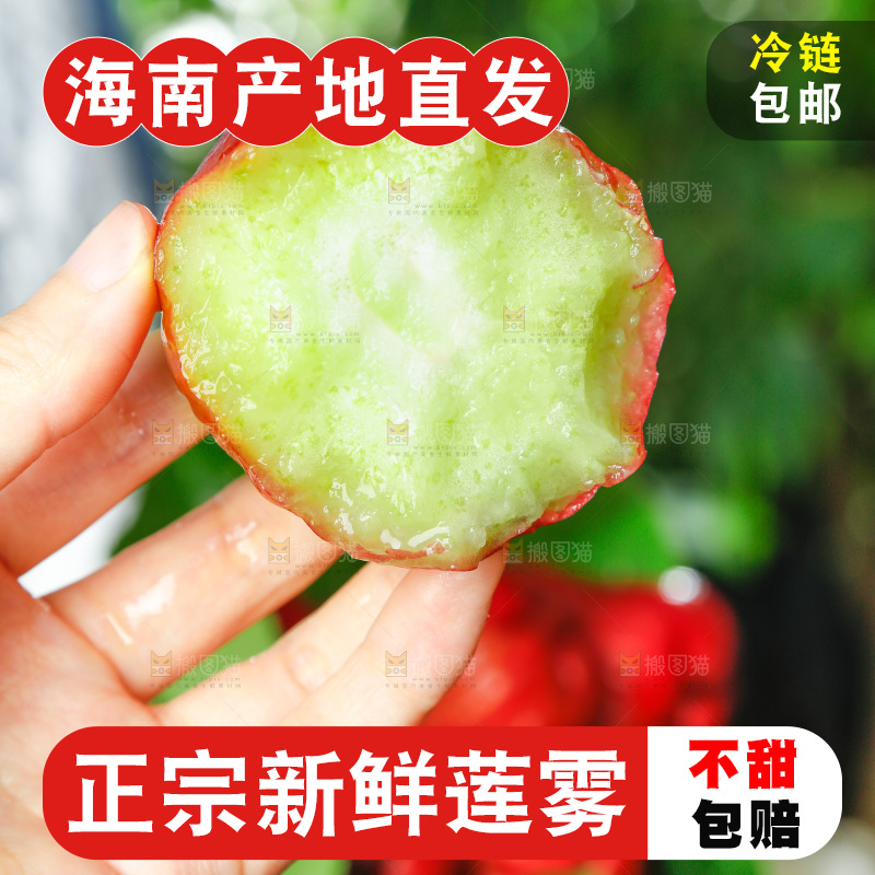 手拿新鲜莲雾