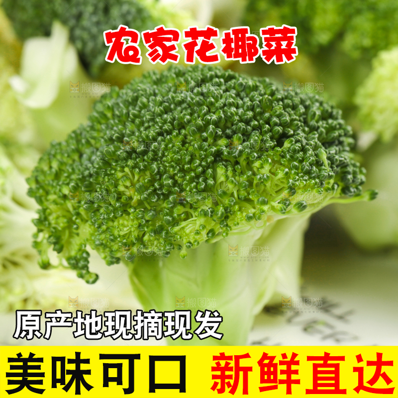 一盘绿花菜放在浅底上