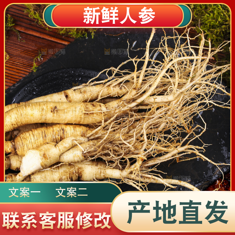 黑石板上的人参