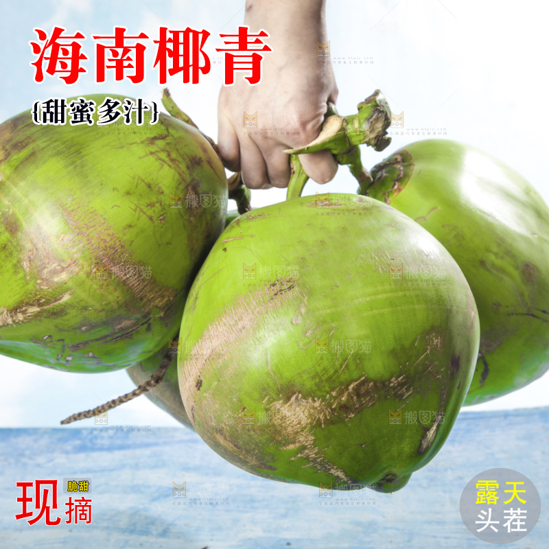 手拿提新鲜椰子