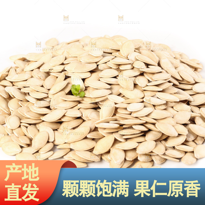 白底上的薄壳南瓜子