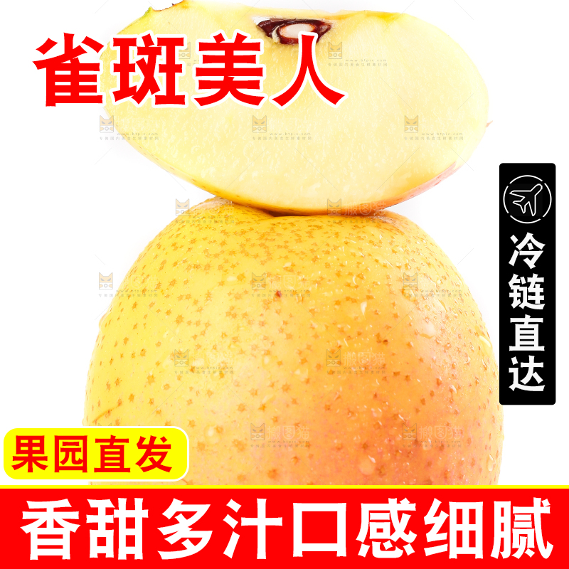 白底上的雀斑美人