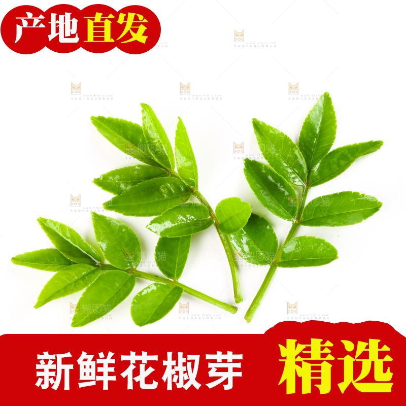 白底上放着花椒芽
