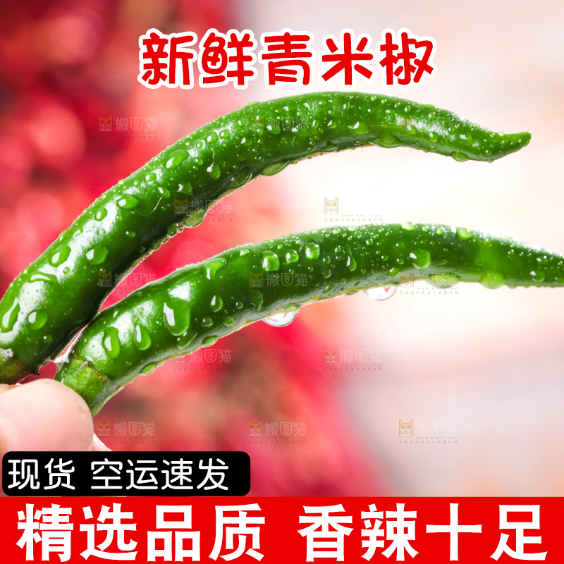 手拿青辣椒