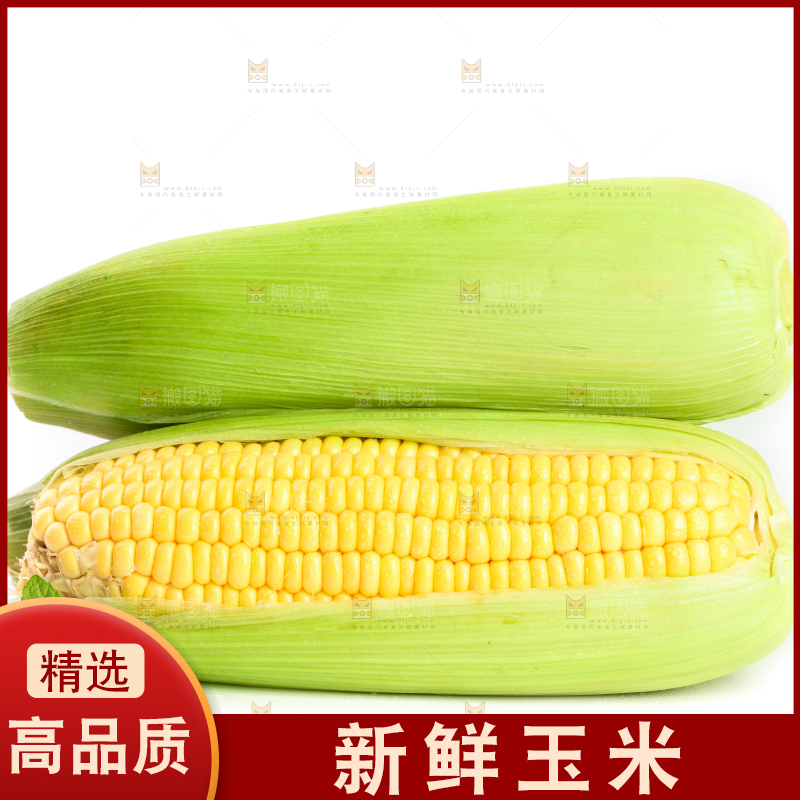 白底上放着黄玉米