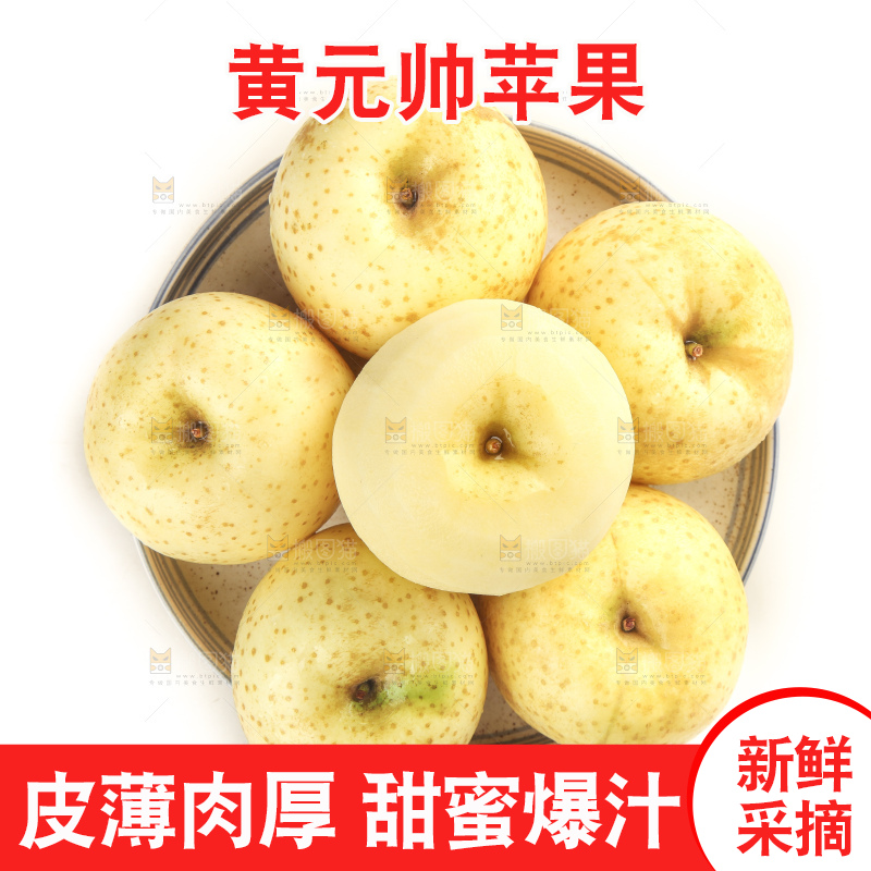 一盘山东黄金帅苹果放在白底上