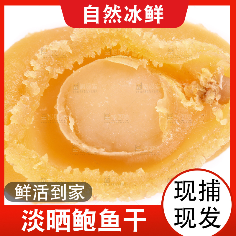白底上的干鲍鱼