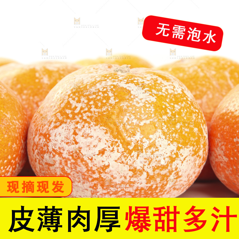 浅底上的武鸣茂谷柑