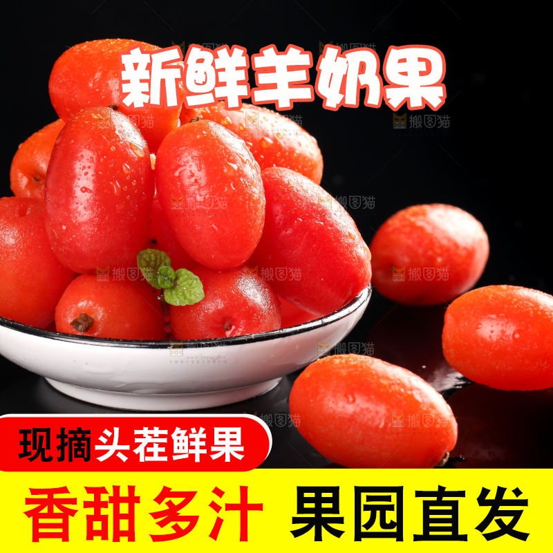 黑底上放着一碗胡颓果