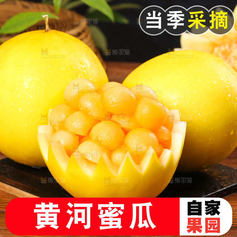 深底上放着黄河蜜瓜果肉