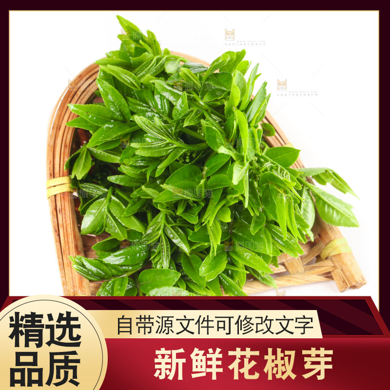 新鲜的花椒芽苗放在白底上