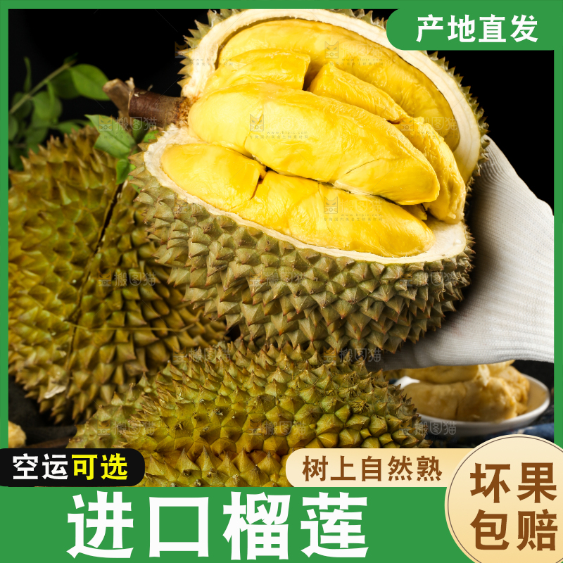 黑底上的进口甲仑榴莲