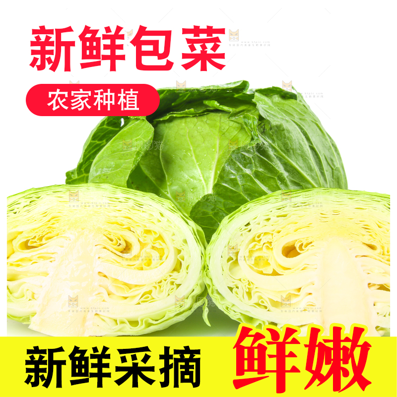切开的包菜放在白底上