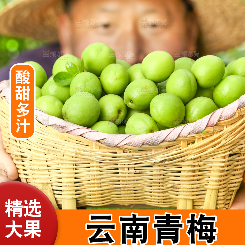 手拿一筐青梅