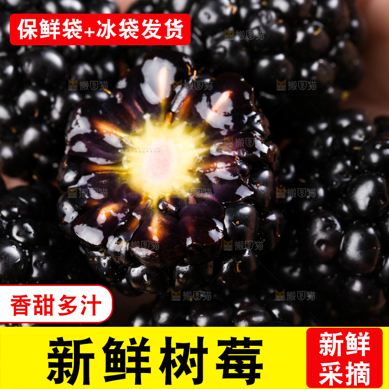 手拿黑树莓