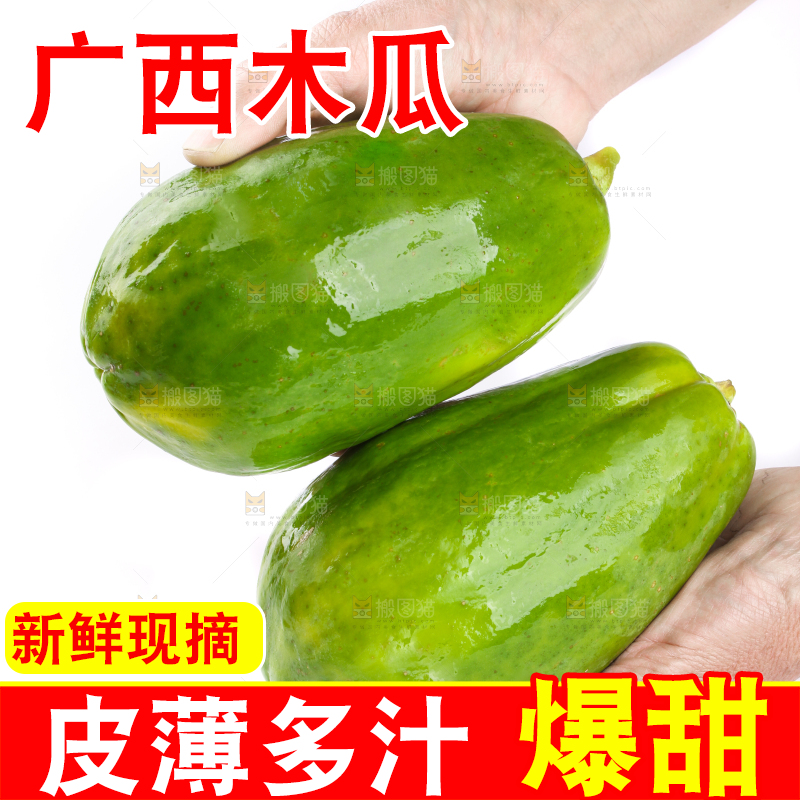 手里拿着广西青木瓜