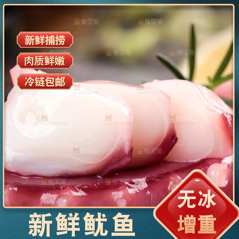黑石板上的大鱿鱼