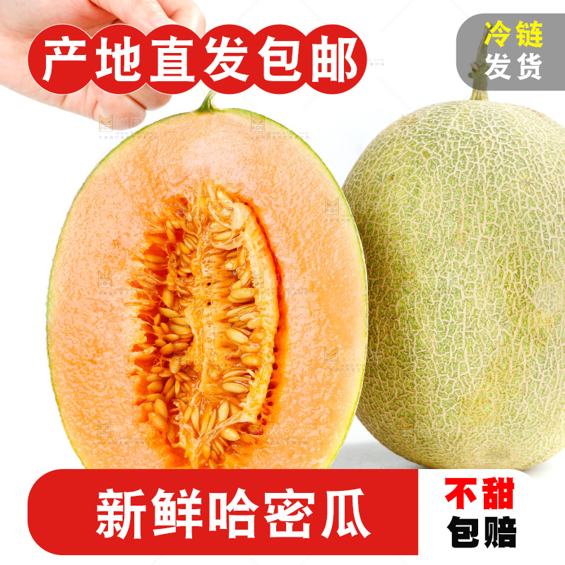 白底上放着切开的新疆哈密瓜