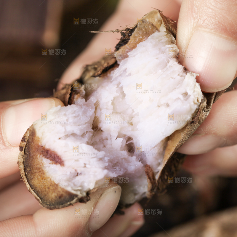 手里拿着新鲜小芋头