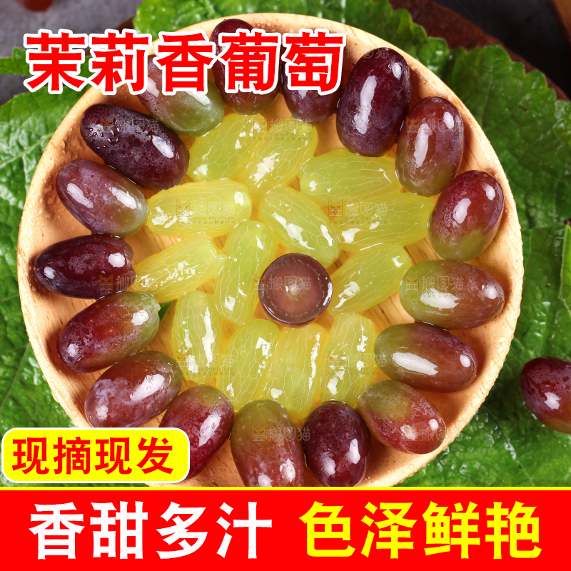 盘子里装着云南茉莉香葡萄