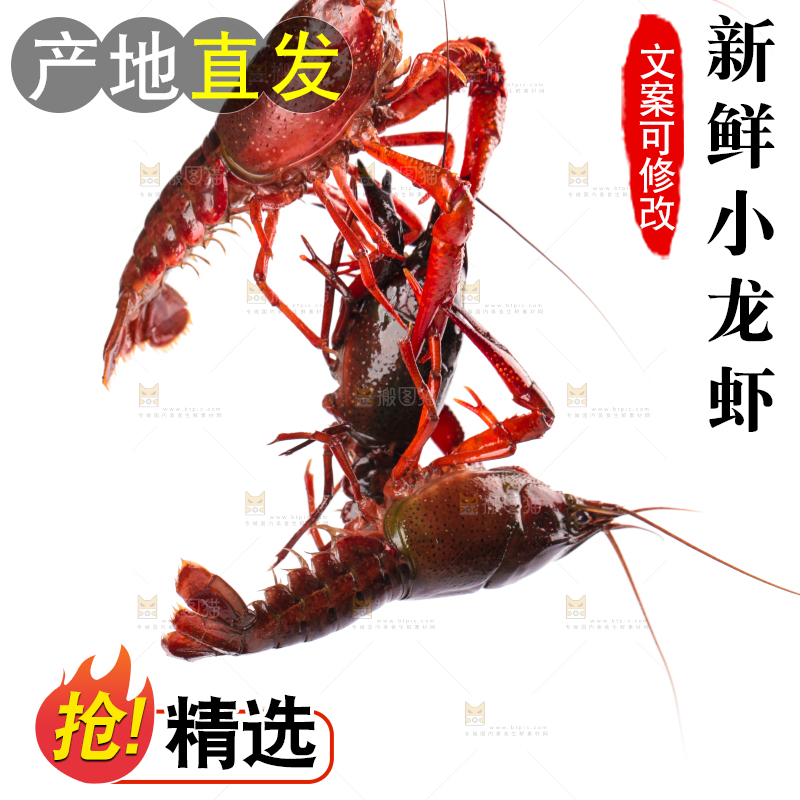 白底上放着潜江小龙虾