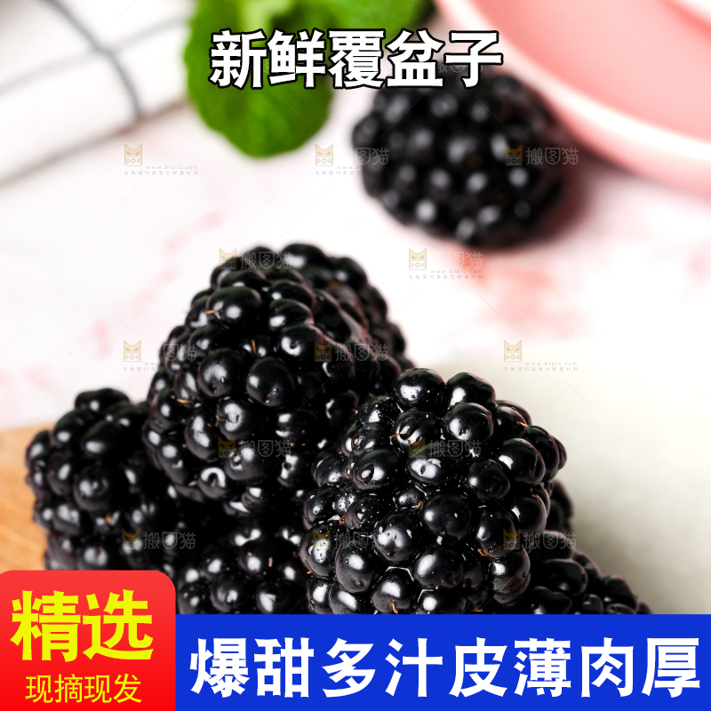石板上的黑莓鲜果