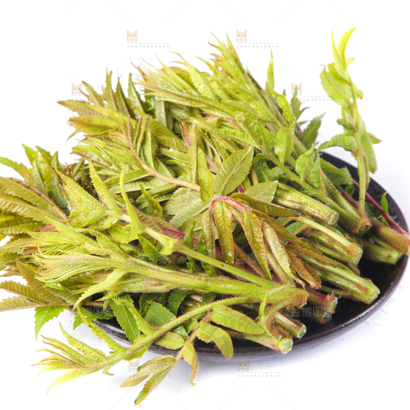 一盘香椿放在白底上