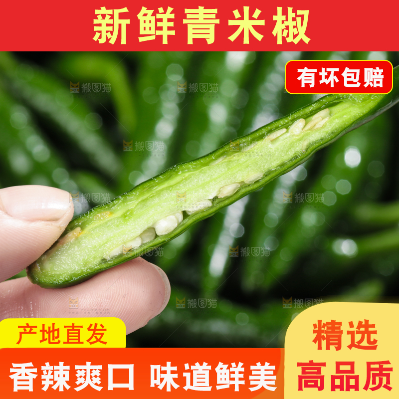 手拿切开的青米椒