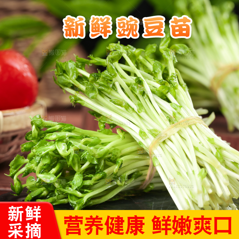 黑石板上的豌豆芽苗菜