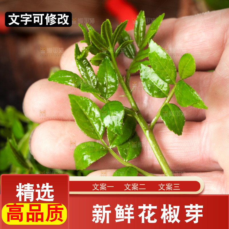 手拿新鲜花椒芽