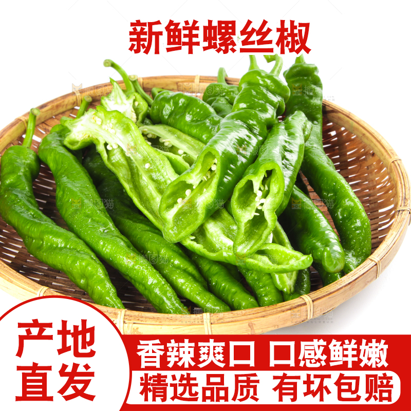 篮子里装着陕西螺丝椒