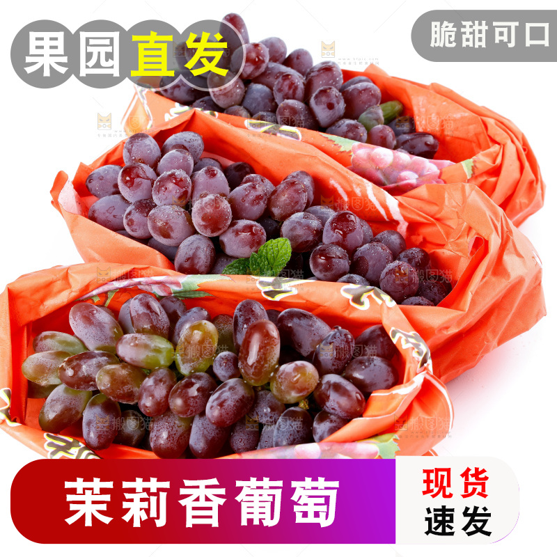 白底上放着云南茉莉香葡萄