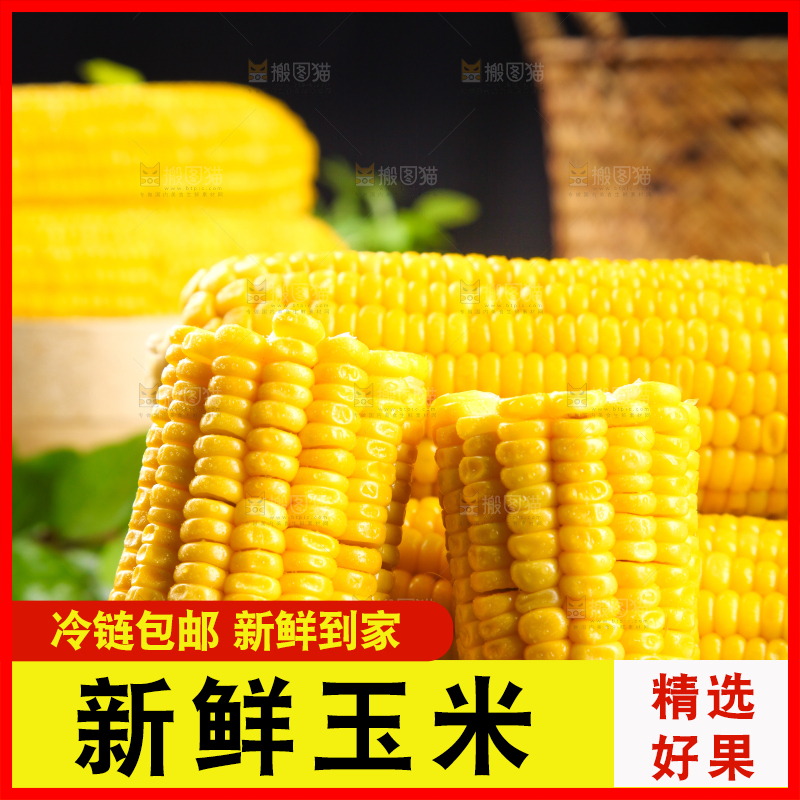 木板上的东北玉米