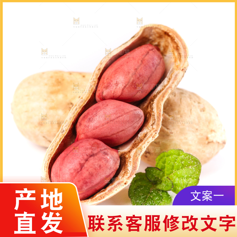 东北红皮花生放在白底上