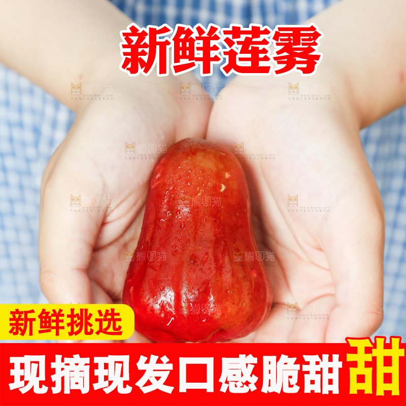 手拿新鲜莲雾