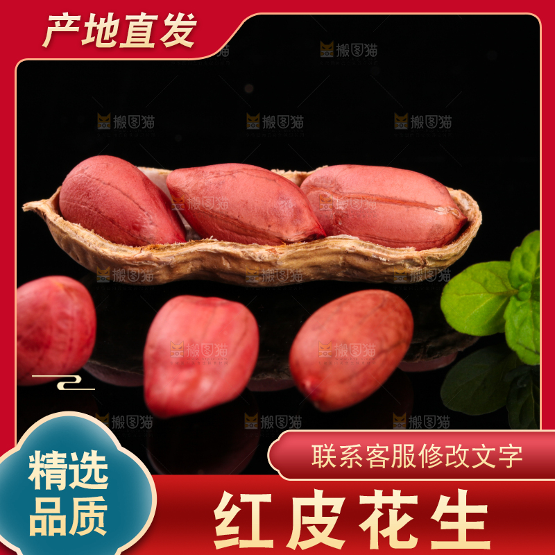东北红皮花生放在黑底上