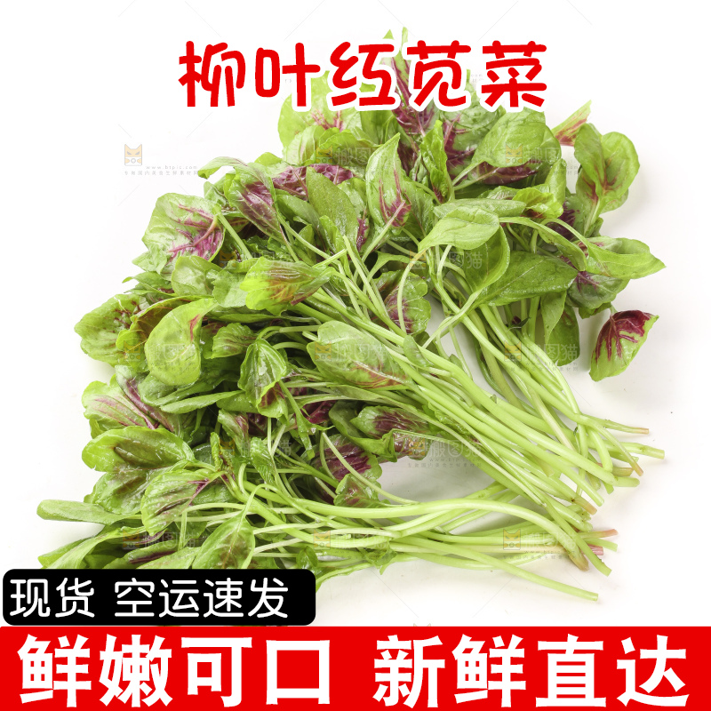 白底上的农家苋菜