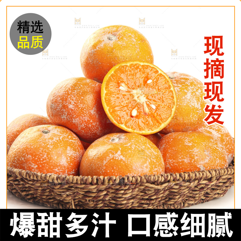 白底上放着一筐广西武鸣茂谷柑