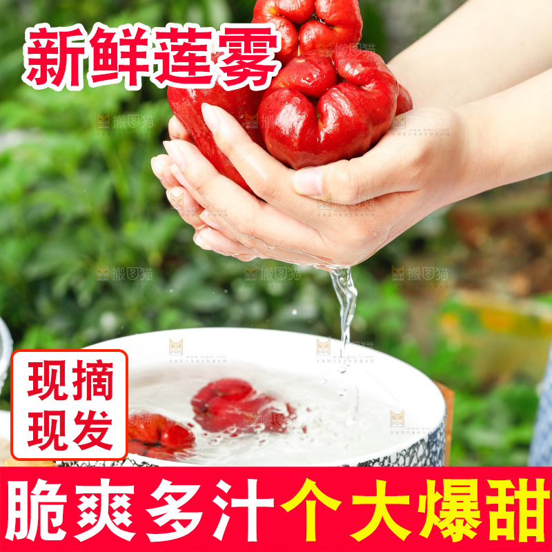 手拿新鲜黑金刚莲雾