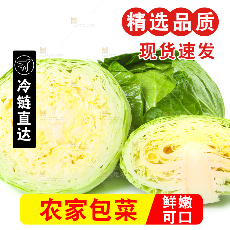 切开的包菜放在白底上