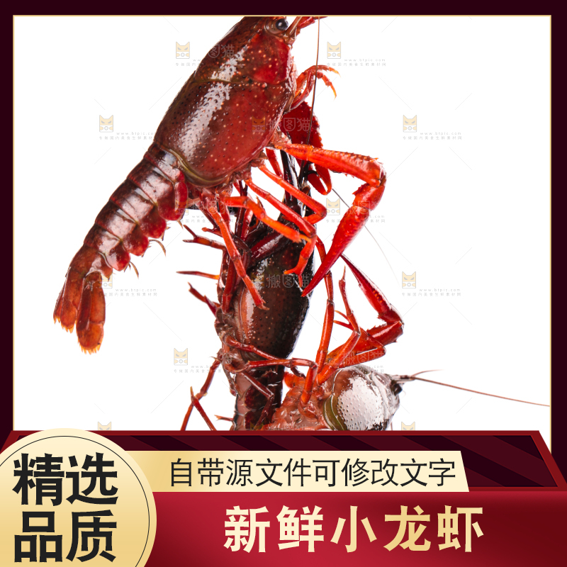 白底上放着潜江小龙虾