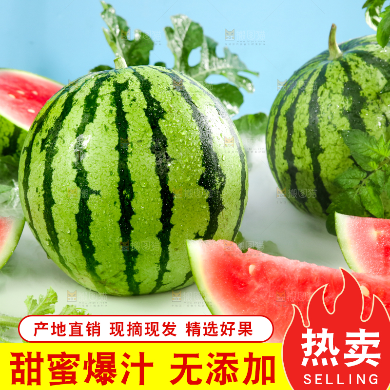 浅底上的放着切开的新鲜红肉西瓜