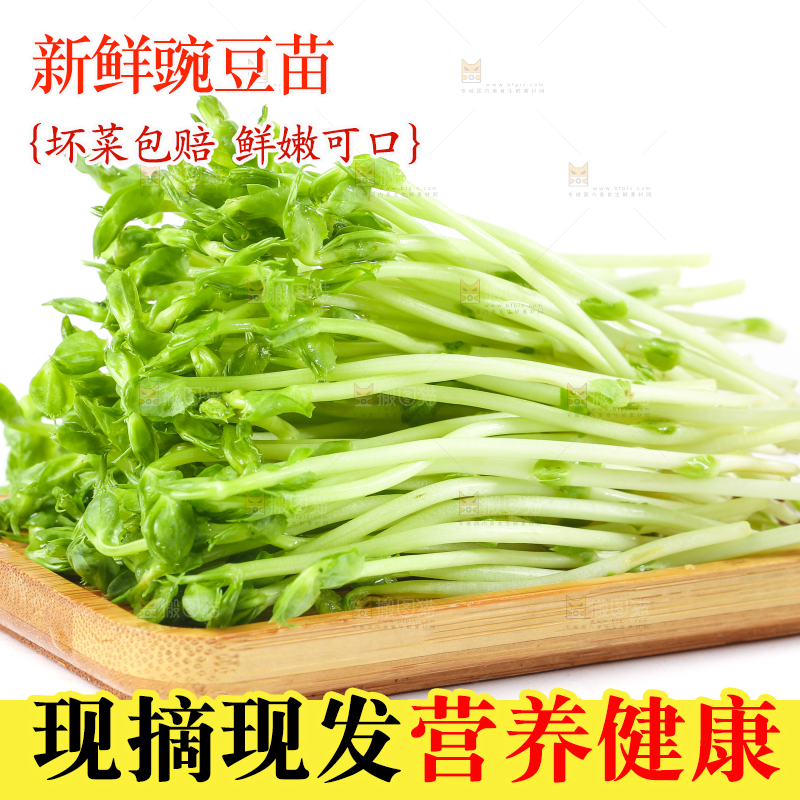 白底上放着豌豆芽菜