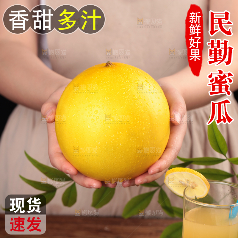 手拿新鲜的黄河蜜瓜